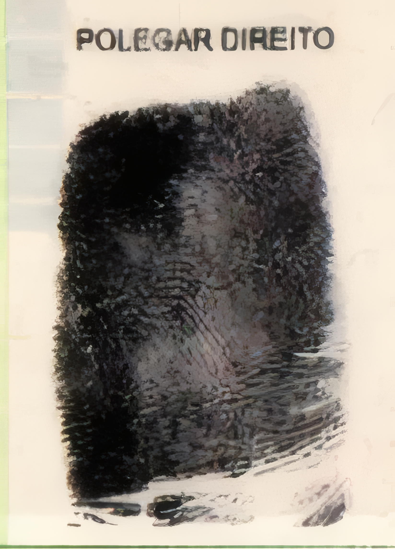 Papiloscopia